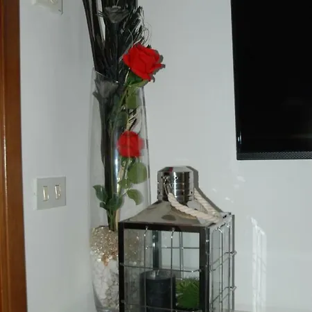 Numero 9 Местре